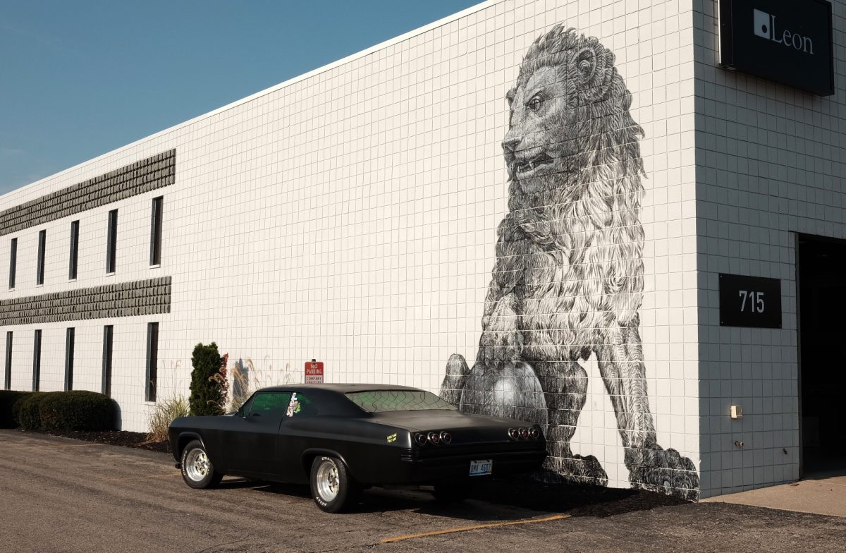 Lion mural 1 1 the interview | noah kaplan