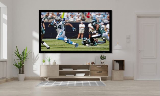 Phantom HALR Plus by Stewart Filmscreen