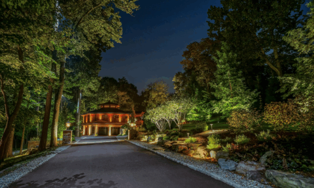 Sycamore Landscape Design