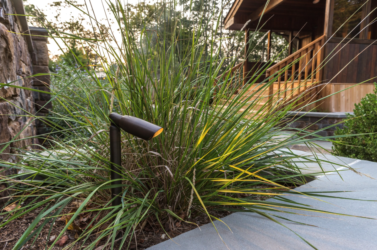 Coastal source two sycamore landscape design