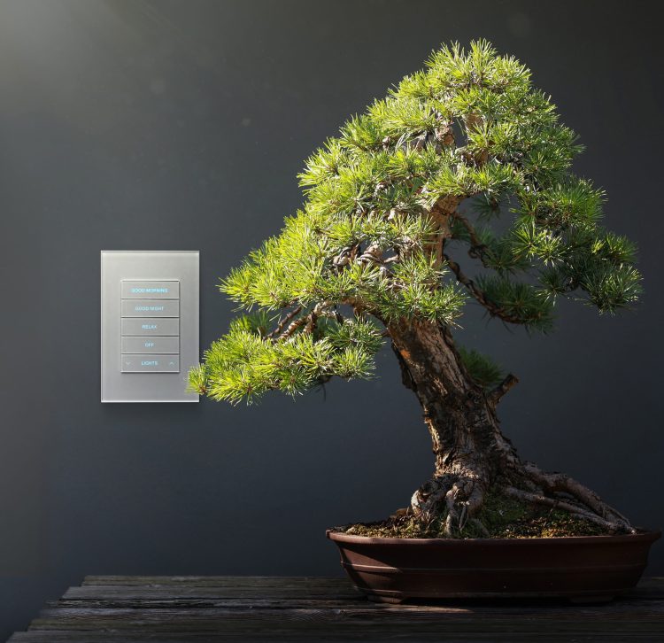 Crestron hz2 glass cedia expo product showcase