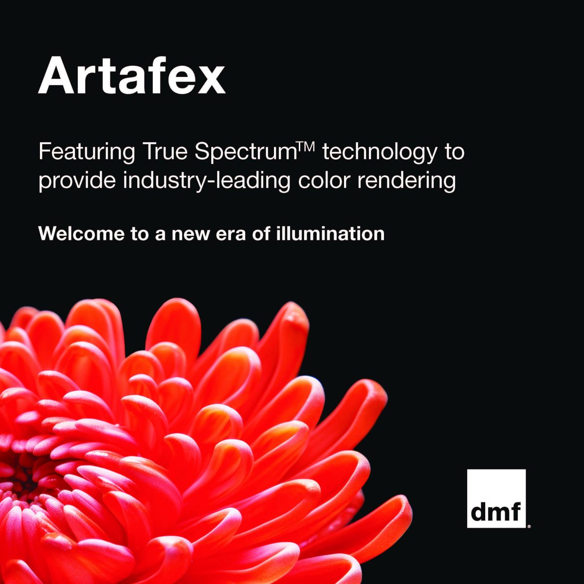 Dmf cedia expo product showcase