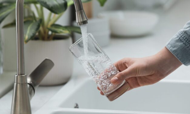 Moen’s New Whole Home Water Filtration
