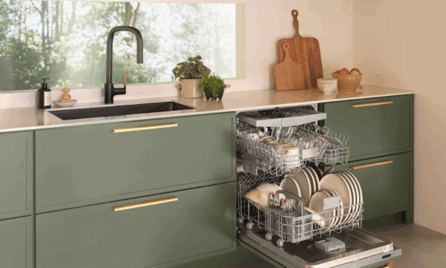 The Introduction of the BlueStar Dishwasher