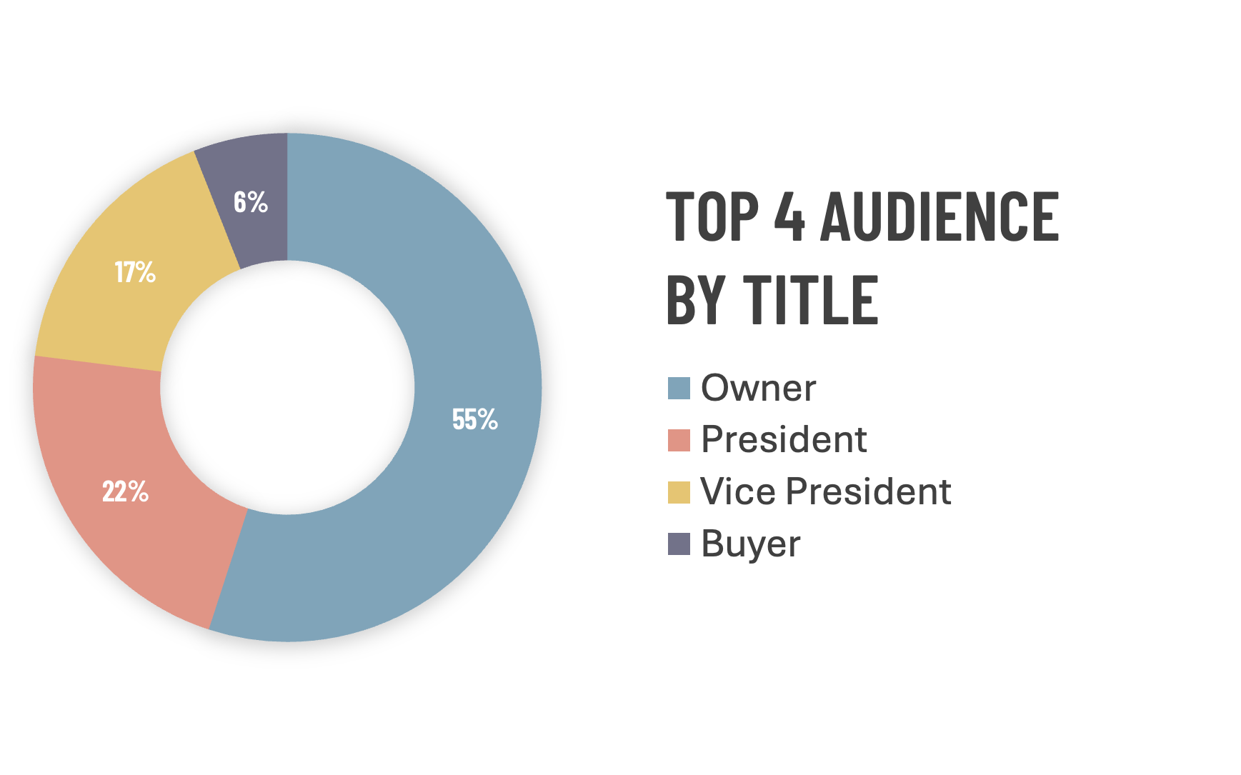 A donut chart shows the top 4 audience titles: Owner (55%, blue), President (22%, red), Vice President (17%, yellow), and Buyer (6%, gray). The chart is labeled “Top 4 Audience by Title.”.