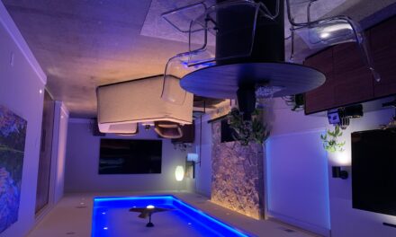 Light Can Help You Launches LDX